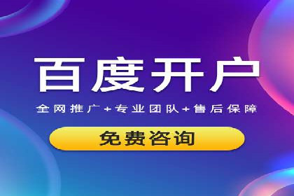SEM广告投放的创意与执行：成功案例剖析